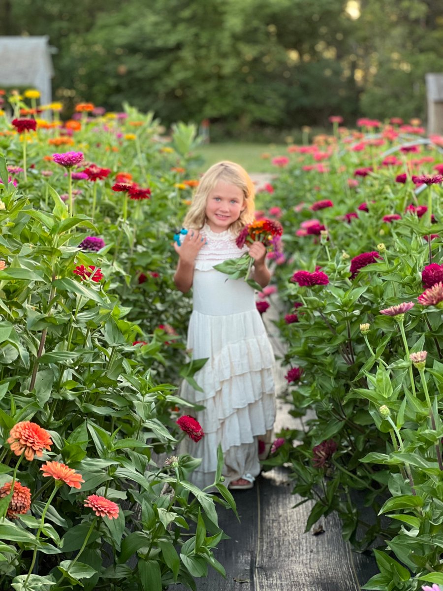 A blonde little girl posing with flowers in the rows at Fleurish Flower Farm.